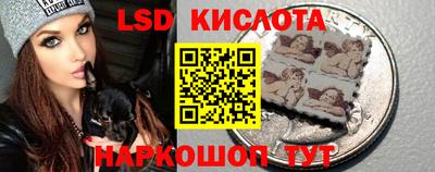 твердый Бийск